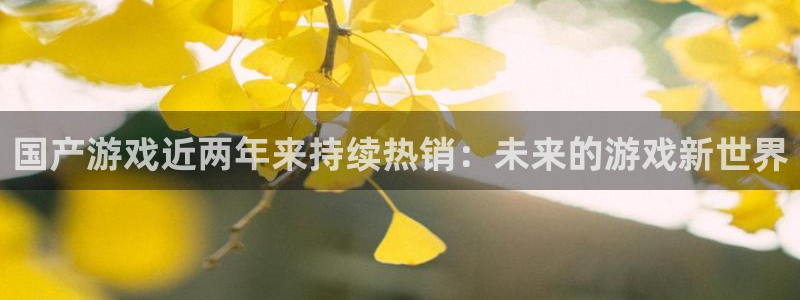 亿万28有什么寓意：国产游戏近两年来持续热销：未来的游戏新世界