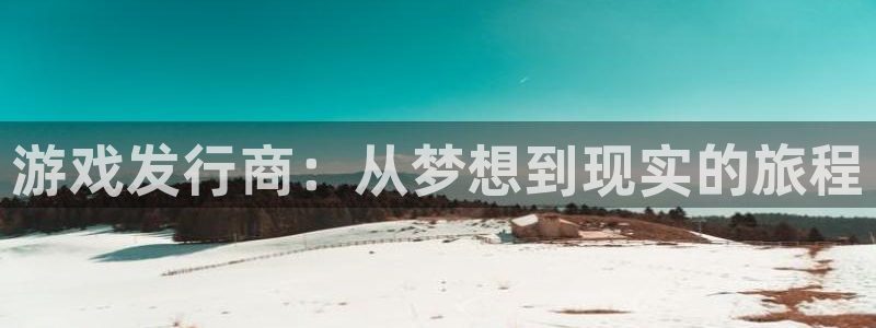 亿万28干红葡萄酒750毫升多少钱：游戏发行商：从梦想到现实的旅程