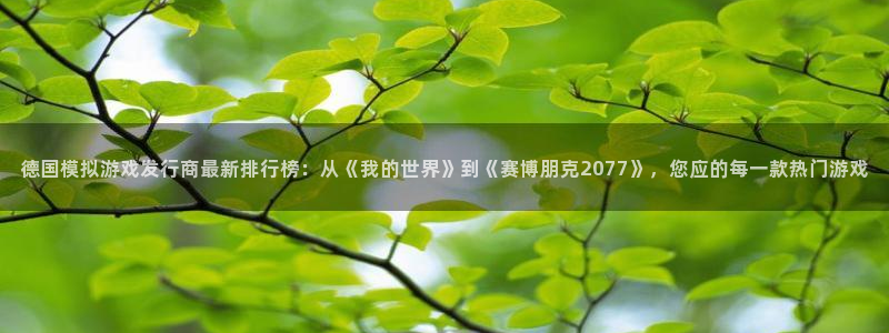 亿万28子文化创意有限公司特邀玩家：德国模拟游戏发行商最新排行榜：从《我的世界》到《赛博朋克2077》，您应的每一款热门游戏