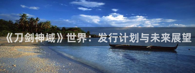 广州亿万28运动服：《刀剑神域》世界：发行计划与未来展望