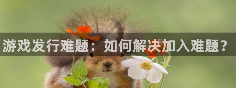 亿万28子代表什么意思：游戏发行难题：如何解决加入难题？