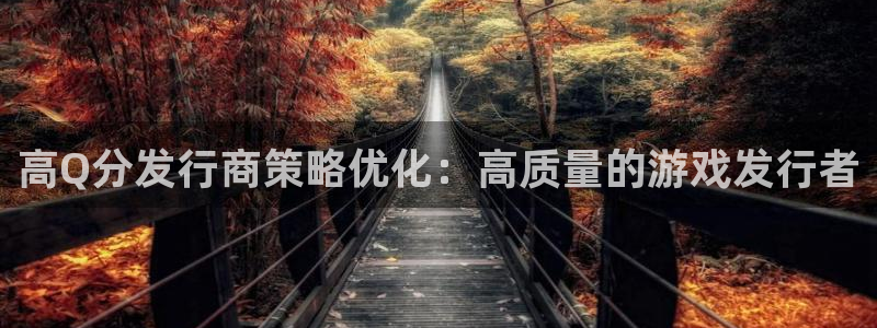 亿万28子文化创意加好友：高Q分发行商策略优化：高质量的游戏发行者