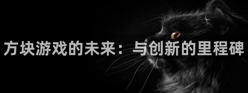 亿万28平台登录入口官网：方块游戏的未来：与创新的里程碑