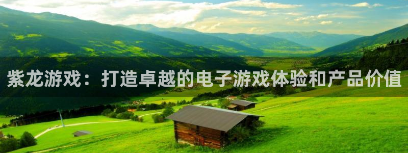 陕西亿万28子文化创意有限公司有什么游戏：紫龙游戏：打造卓越的电子游戏体验和产品价值