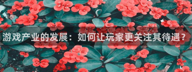 亿万28是哪个国家的衣服品牌：游戏产业的发展：如何让玩家更关注其待遇？