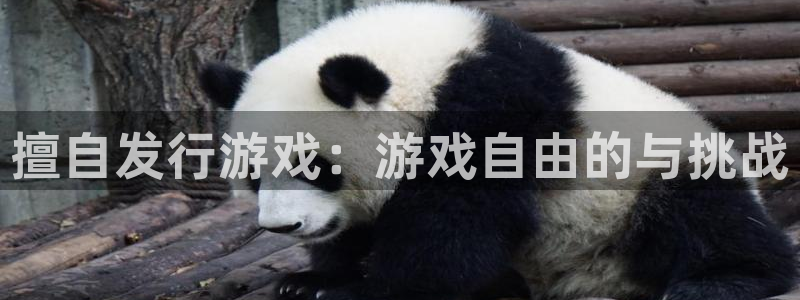 亿万28官网登录注册不了：擅自发行游戏：游戏自由的与挑战