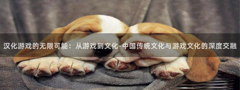 亿万28官网注册平台怎么注册不了：汉化游戏的无限可能：从游戏到文化-中国传统文化与游戏文化的深度交融