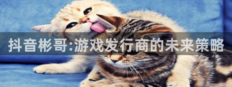 亿万28子公司怎么样可靠吗：抖音彬哥:游戏发行商的未来策略