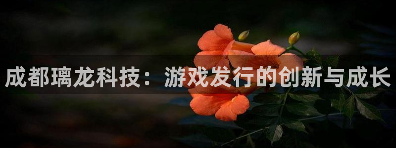 亿万28子 到底怎么样：成都璃龙科技：游戏发行的创新与成长