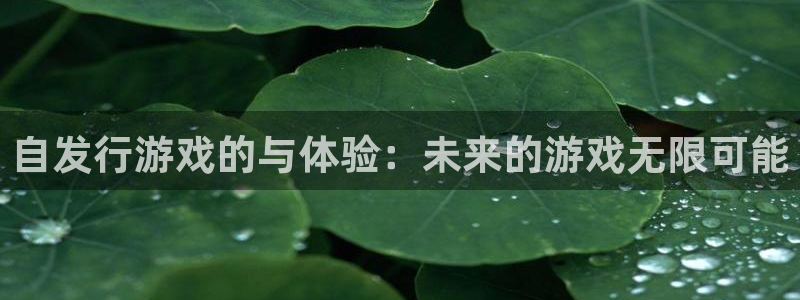 亿万28电子商务有限公司地址：自发行游戏的与体验：未来的游戏无限可能