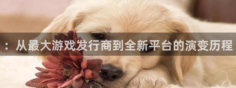 亿万28官网登录注册不了怎么办：：从最大游戏发行商到全新平台的演变历程