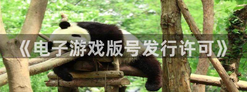 亿万28子经理人读后感：《电子游戏版号发行许可》