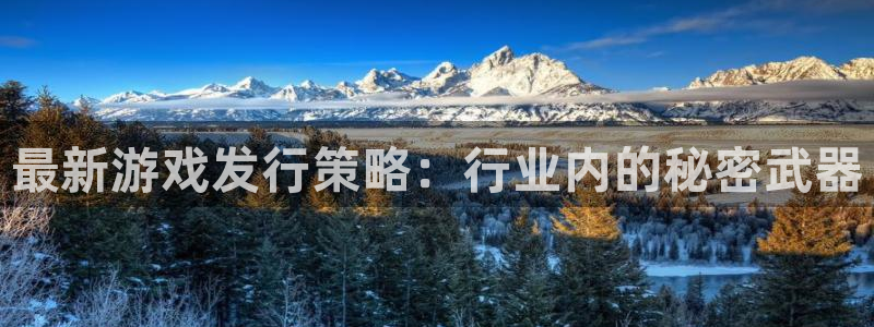 江苏亿万28：最新游戏发行策略：行业内的秘密武器