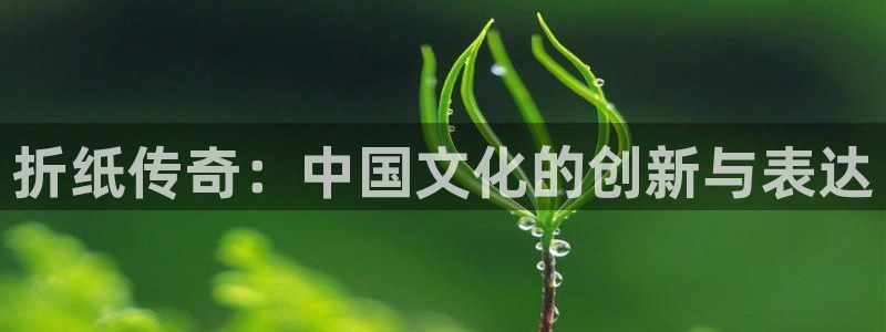 亿万28官网注册地址查询：折纸传奇：中国文化的创新与表达